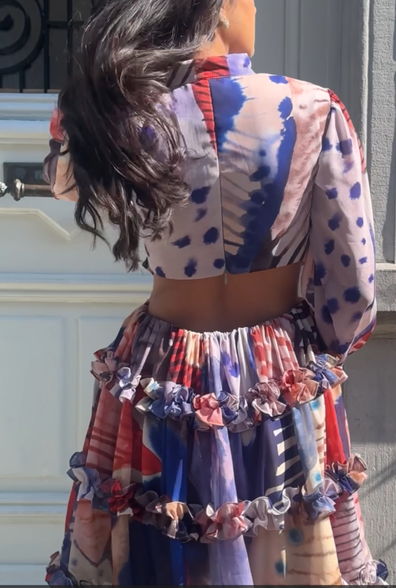 BRINDA PATEL In Pleats & Palettes